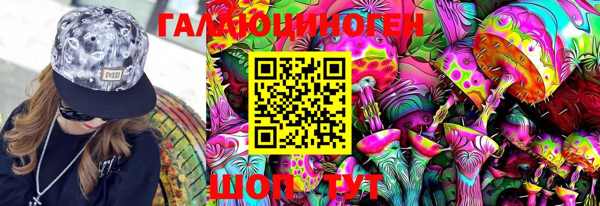Рыбинск  Галлюциногенные грибы Psilocybe  Вход с VPN 
