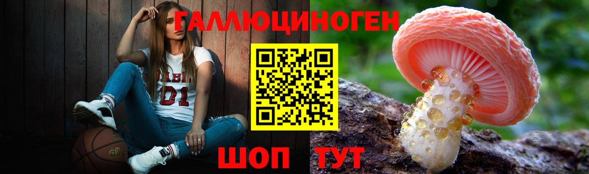 Псилоцибиновые грибы мицелий Рыбинск